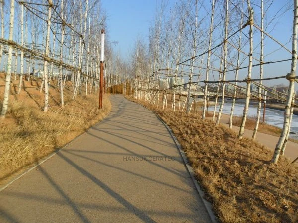일산한류월드내산책로칼라스톤(콩자갈)포장 스톤카펫 Natural Stone (콩자갈수지) 포장 시공 사진 2/5